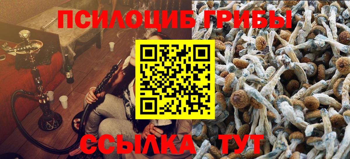 Галлюциногенные грибы мицелий Нижневартовск