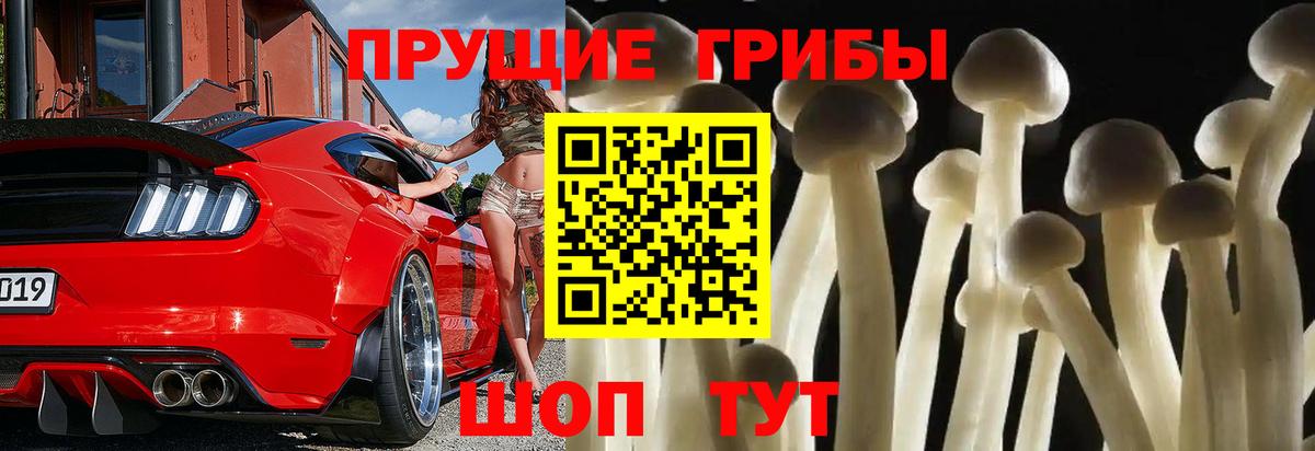 где найти   Галлюциногенные грибы мицелий  Вход с VPN  Нижневартовск 